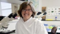 News post titled 'Update to SQP exam looks to improve anthelmintic prescription channels for dairy farmers'