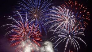 News post titled 'Keep calm… and help our companion animals during firework festivals'