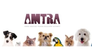 News post titled 'AMTRA Exams – an update'