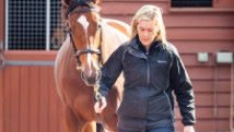 News post titled 'AMTRA calls for more targeted equine worming approach  '