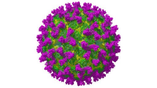 News post titled 'Help to raise awareness of the threat of Bluetongue Virus (BTV)'