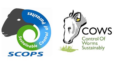News post titled 'Encouraging uptake of SCOPS and COWS AMTRA CPD'