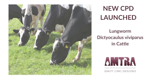 News post titled 'Brand new CPD module: Lungworm Dictyocaulus viviparus in Cattle by Mark Pass'